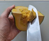 種とワタを取る