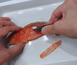 身の中心にも骨はあるので注意