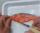 背側には細かい骨が集中している