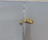 しょうがを薄切りにする