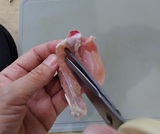 反対側の骨にも沿ってハサミを入れる