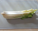 白菜を切り出す