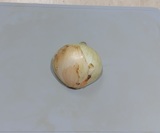 玉ねぎを切り出す