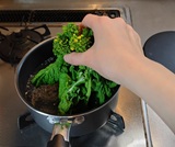 菜の花を茎からゆでる