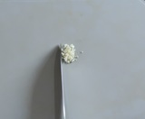 にんにくをみじん切りにする