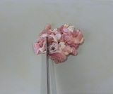 1.5cm角に切る