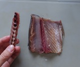 中骨が取れた
